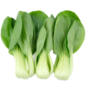Baby Pak Choi
