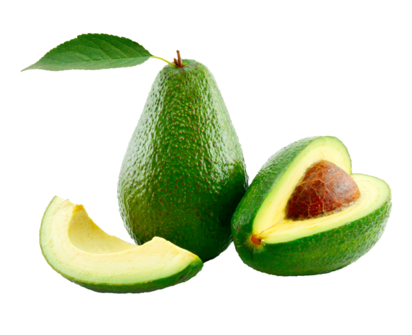 Fuertes avocado