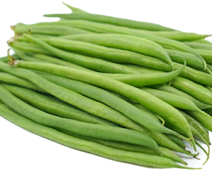 Extra Fine Beans